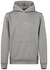 Clique 021067 Basic Active Hoody Junior - Grijsmelange - 110/120 afbeelding