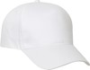 Clique 024065 Texas Cap - Wit - No Size afbeelding