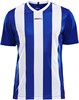 Craft 1905562 Progress Stripe Jersey M - Club Cobolt/White - XL afbeelding