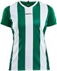 Craft 1905568 Progress Stripe Jersey W - Team Green/White - S afbeelding