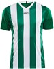 Craft 1905584 Progress Stripe Jersey JR - Team Green/White - 134/140 afbeelding