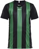 Craft 1905584 Progress Stripe Jersey JR - Black/Team Green - 146/152 afbeelding