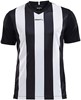 Craft 1905584 Progress Stripe Jersey JR - Black/White - 146/152 afbeelding