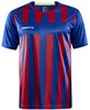 Craft 1910175 Progress 2.0 Stripe Men - Club Cobolt/Bright Red - XL afbeelding