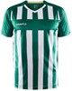 Craft 1910175 Progress 2.0 Stripe Men - Team Green/White - XS afbeelding