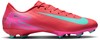 Nike FQ8374 Zoom Vapor 16 Academy FG/MG - Pink - 46 afbeelding