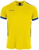 Stanno 410008 First Shirt - Yellow-Royal - S afbeelding