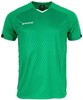 Stanno 410009 Volt Shirt - Green-Black-White - S afbeelding