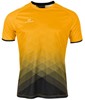 Stanno 410011K Altius Shirt Kids - Amber-Black - 128 afbeelding