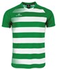 Stanno 410013 Synergy T-Shirt - Green-White - S afbeelding