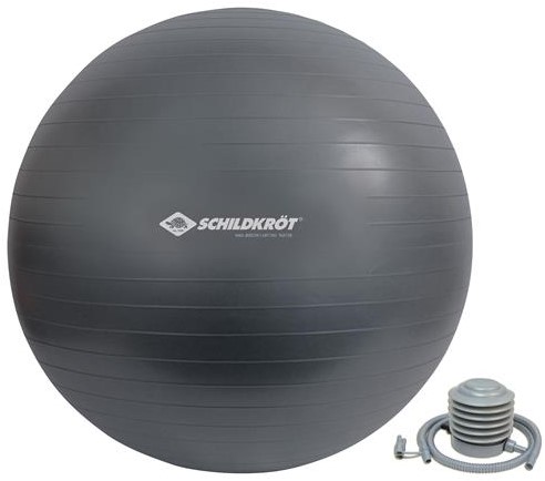 Schilkröt 704 Gymnastiekbal
