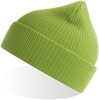 Atlantis AT116 Nelson Beanie - Leaf-Green - One Size