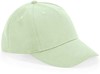 Beechfield CB63NB Junior Organic Cotton 5 Panel Cap - Pistachio - One Size afbeelding