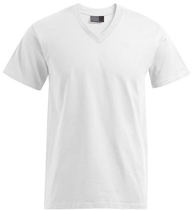 Promodoro E3025 Premium V-Neck-T