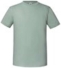 Fruit Of The Loom F185 Iconic 195 T - Sage - M afbeelding