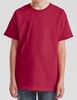 Fruit Of The Loom F185K Kids Iconic 195 T - Cranberry - 140 afbeelding