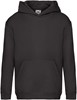 Fruit Of The Loom F421K Kids´ Premium Hooded Sweat - Black - 140 afbeelding