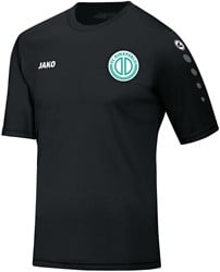 FC Dinxperlo JAKO 4233 Trainingsshirt Heren