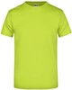James & Nicholson JN002 Round-T Heavy - Acid-Yellow - 3XL afbeelding