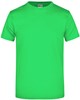 James & Nicholson JN002 Round-T Heavy - Lime-Green - S afbeelding