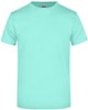 James & Nicholson JN002 Round-T Heavy - Mint - 5XL afbeelding