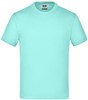 James & Nicholson JN019 Junior Basic-T - Mint - XS (98/104) afbeelding