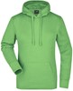 James & Nicholson JN051 Ladies´ Hooded Sweat - Lime-Green - XXL afbeelding