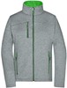 James & Nicholson JN1147 Ladies´ Softshell Jacket - /Dark-Melange/Green - L afbeelding