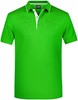 James & Nicholson JN728 Men´s Polo Stripe - Frog/White - XL afbeelding