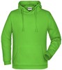 James & Nicholson JN796 Promo Hoody Man - Lime-Green - 5XL afbeelding