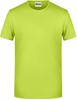 James & Nicholson JN8008 Men´s Basic-T - /Acid-Yellow - 3XL afbeelding