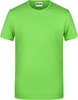 James & Nicholson JN8008 Men´s Basic-T - /Lime-Green - XL afbeelding