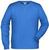 James & Nicholson JN8022 Men´s Sweat - /Cobalt - L afbeelding