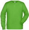 James & Nicholson JN8022 Men´s Sweat - /Lime-Green - 5XL afbeelding