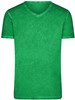 James & Nicholson JN976 Men´s Gipsy T-Shirt - Fern-Green - S afbeelding