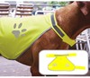 Korntex KX104 Stretchy Hi-Vis Safety Vest For Dogs Buenos Aires - Signal Yellow - S afbeelding