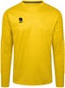 Robey RS1528 Patron Goalkeeper shirt LS PADDED - Spring Bouquet - 116 afbeelding