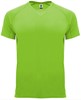 Roly RY0407 Men´s Bahrain T-Shirt - Lime Green 225 - 3XL afbeelding