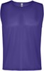 Roly RY0417 Roma Training Bib - Mauve 63 - XL afbeelding