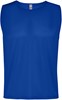 Roly RY0417 Roma Training Bib - Royal Blue 05 - M afbeelding