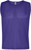 Roly RY0417K Kids´ Roma Training Bib - Mauve 63 - 8 years afbeelding