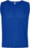 Roly RY0417K Kids´ Roma Training Bib - Royal Blue 05 - 8 years afbeelding