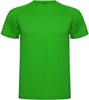 Roly RY0425 Men´s Montecarlo T-Shirt - Fern Green 226 - XXL afbeelding