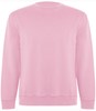 Zacht Roze unisex Eco sweater Batian merk Roly maat 3XL