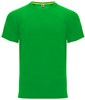 Roly RY6401 Monaco T-Shirt - Fern Green 226 - XL afbeelding