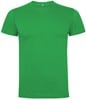 Roly RY6502K Kids´ Dogo Premium T-Shirt - Irish Green 24 - 5/6 years afbeelding