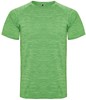 Roly RY6654 Men´s Austin T-Shirt - Heather Lime 250 - XL afbeelding
