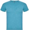 Roly RY6660 Men´s Fox T-Shirt - Heather Turquoise 246 - M afbeelding