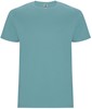 Roly RY6681K Kids´ Stafford T-Shirt - Dusty Blue 267 - 3/4 years afbeelding