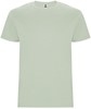 Roly RY6681K Kids´ Stafford T-Shirt - Mist Green 264 - 3/4 years afbeelding